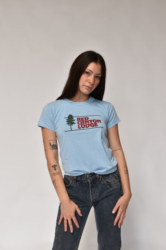 canyon lodge tee